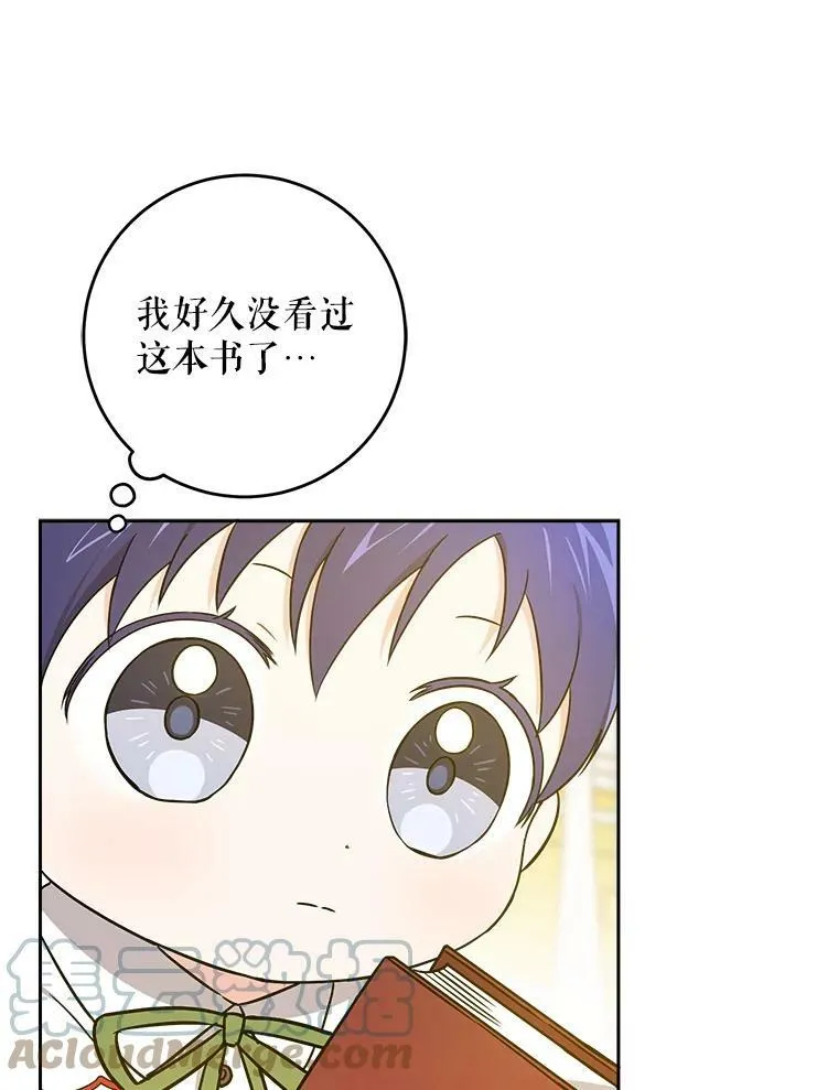 25.我的书16
