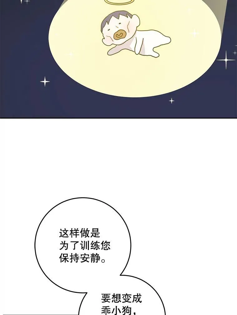 14.狗狗训练89