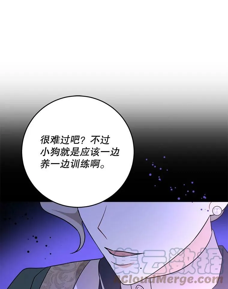 14.狗狗训练63