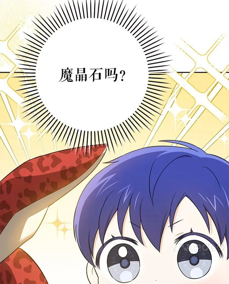 26.魔晶石6
