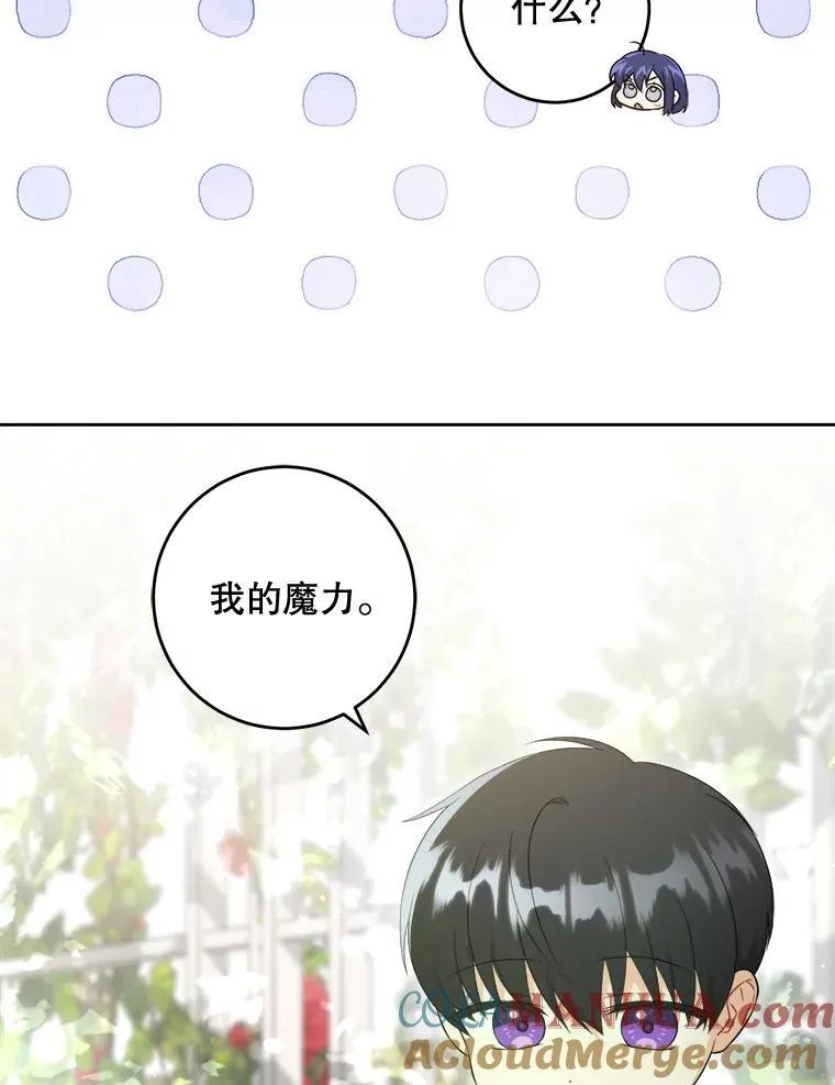 73.命运连结44