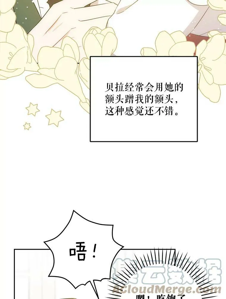 25.我的书76