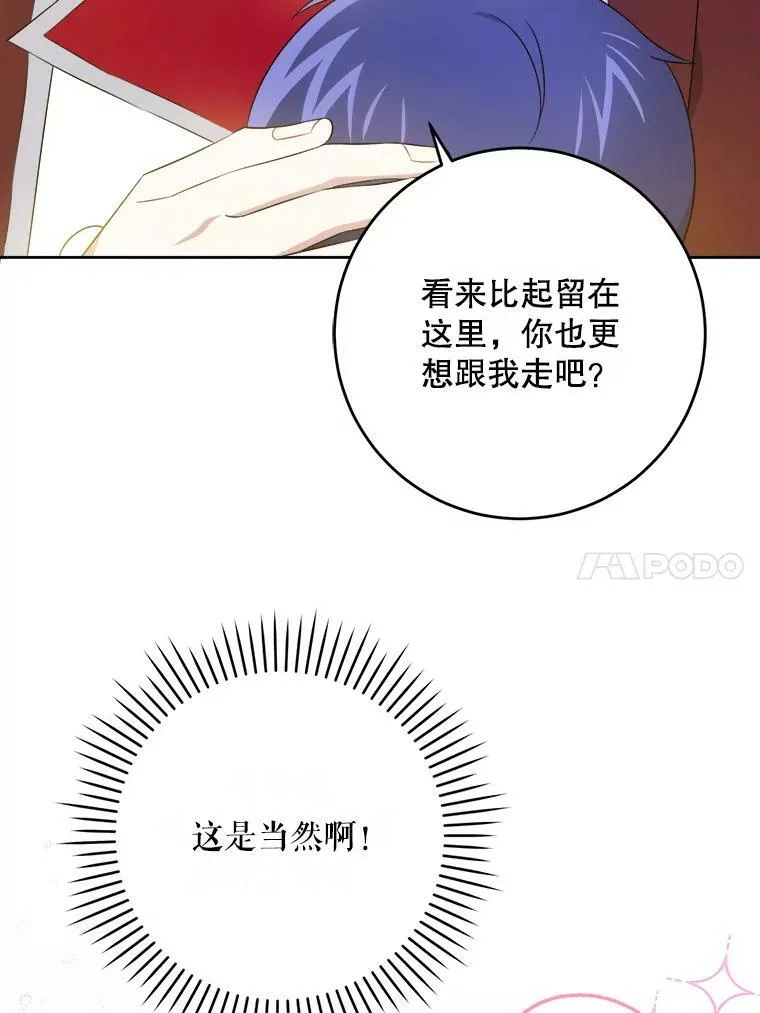 38.收养51