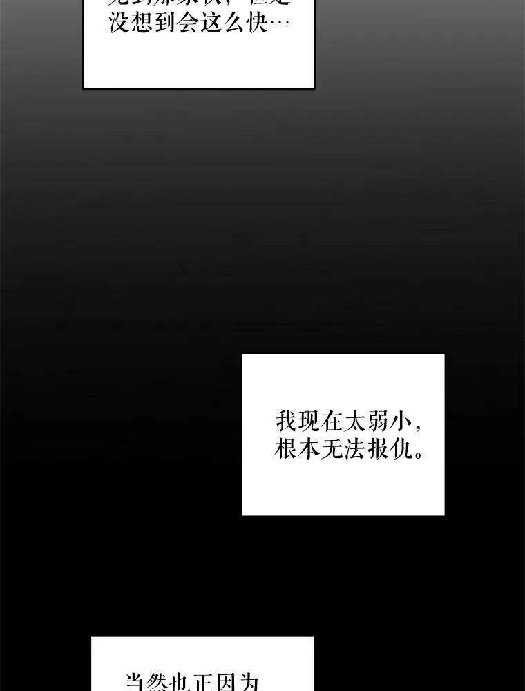 25.我的书51