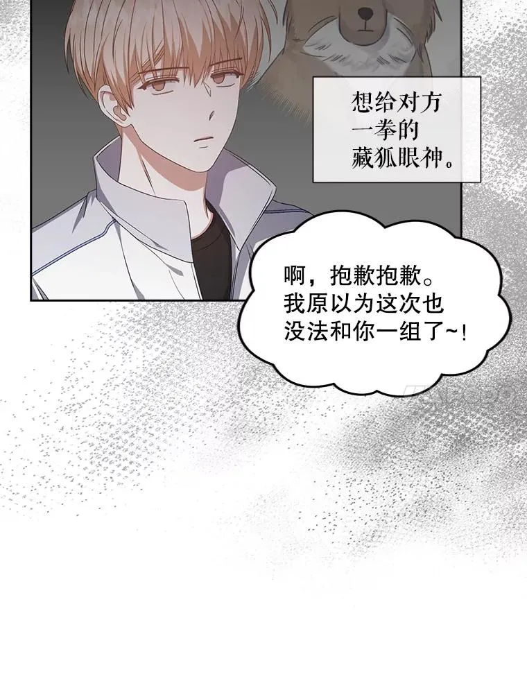 39.小兔组来也26