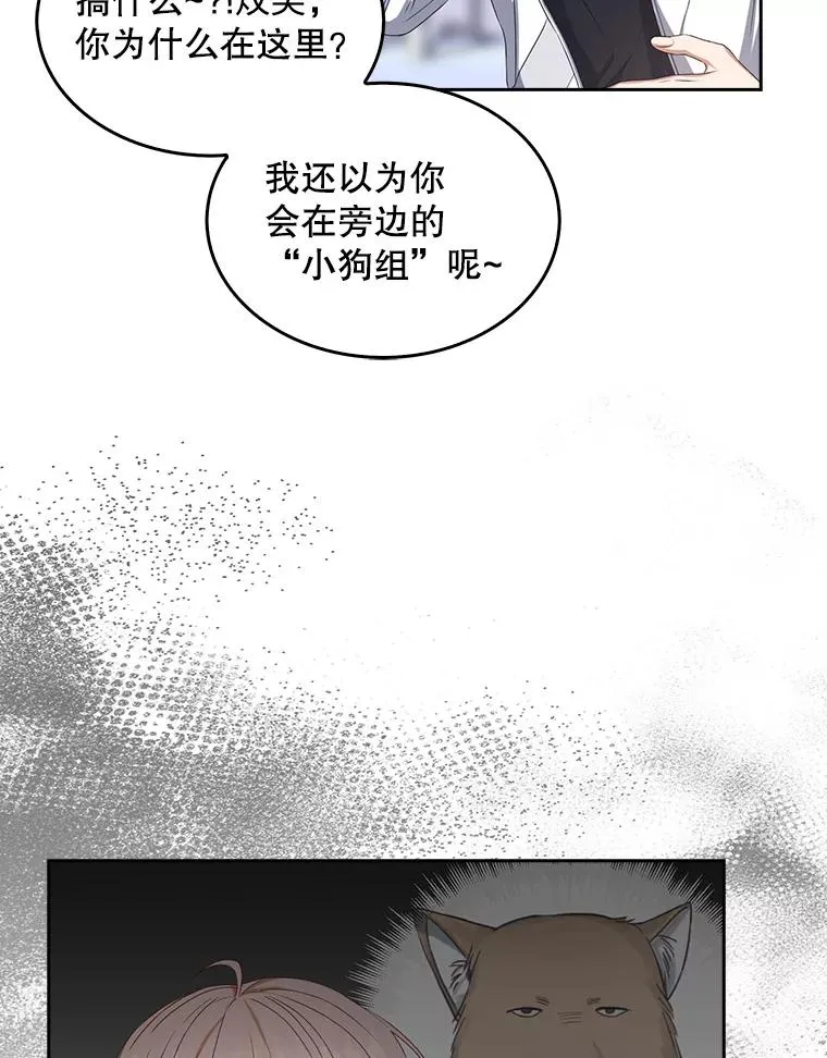 39.小兔组来也25
