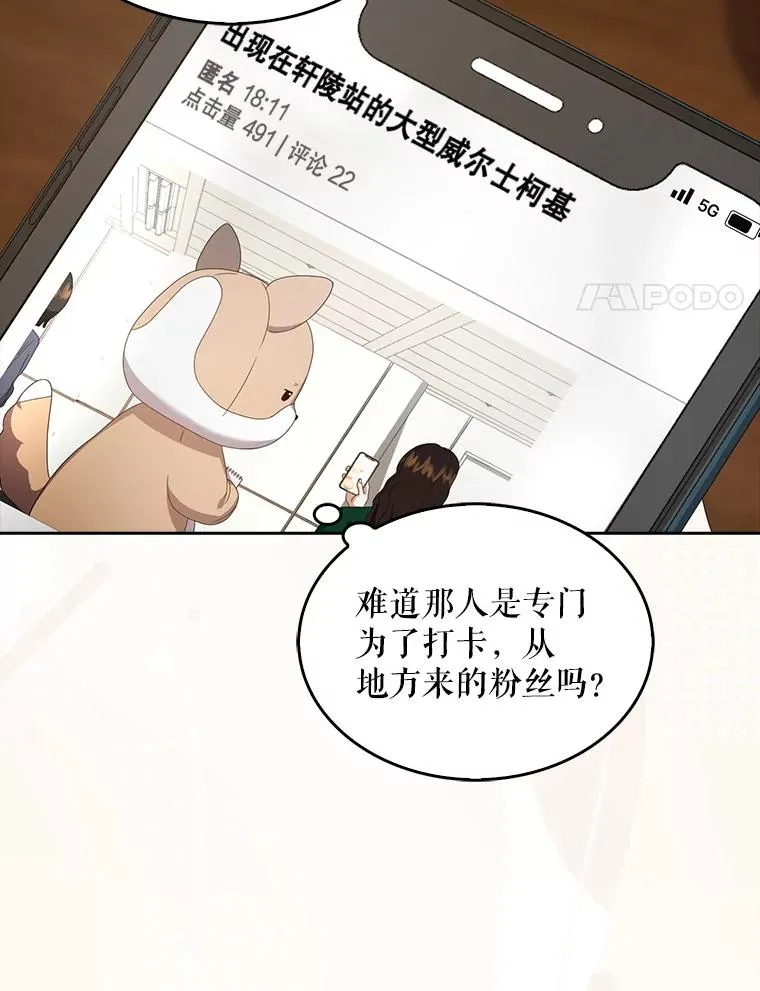 56.火力全开95