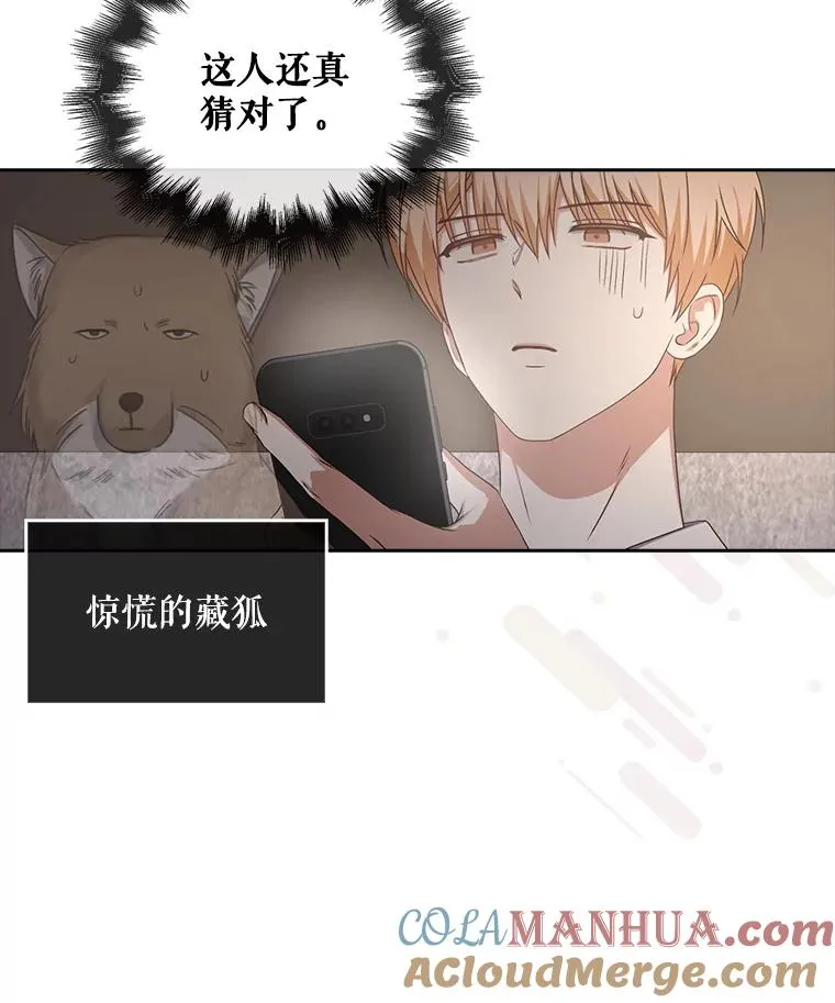 49.哈士奇组的危机92