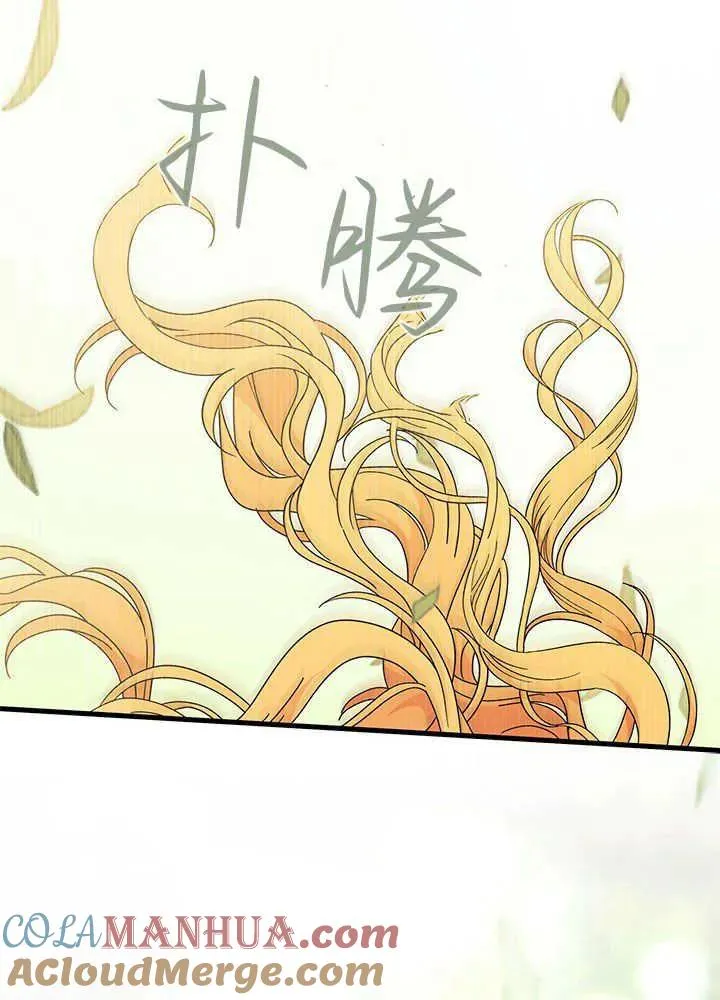 第41话88