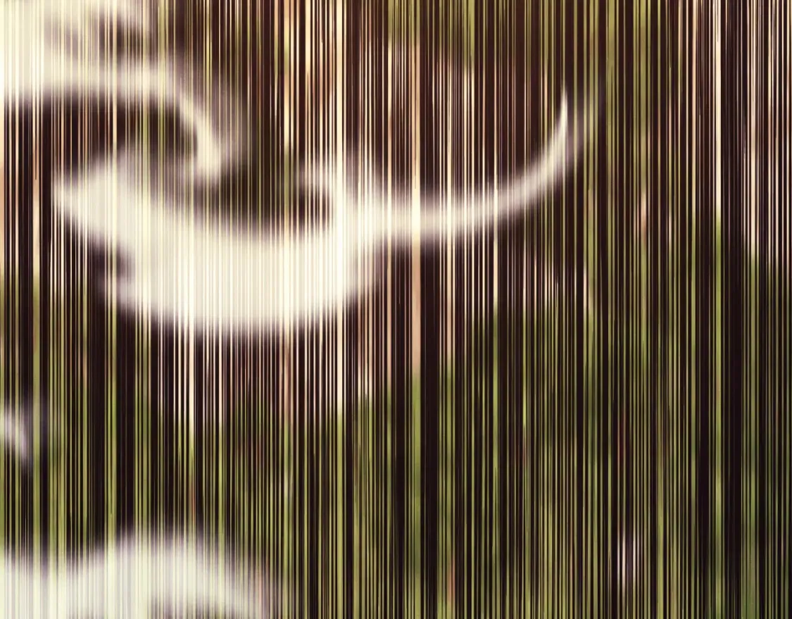第172话 苏醒71