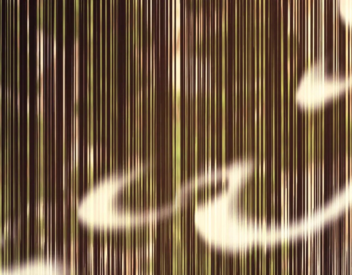 第172话 苏醒70