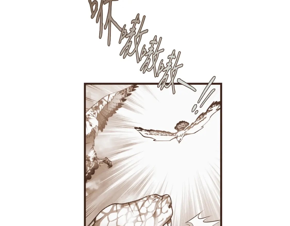 第30话 交手1