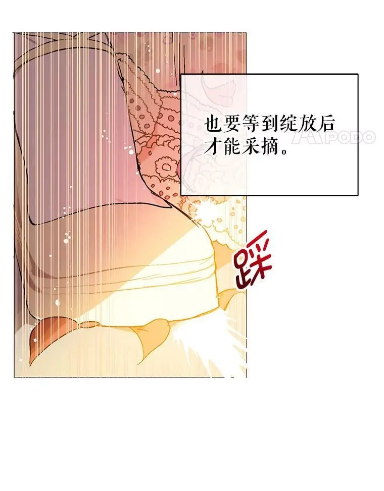 16.匹拉内塔伦55