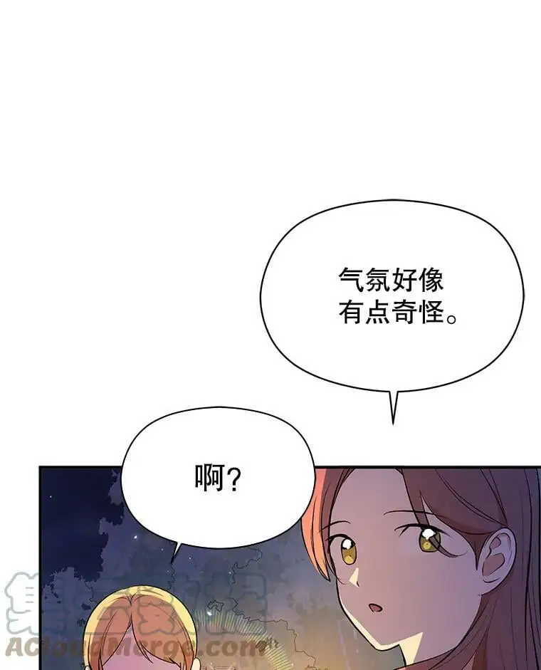 45.公主的礼物24