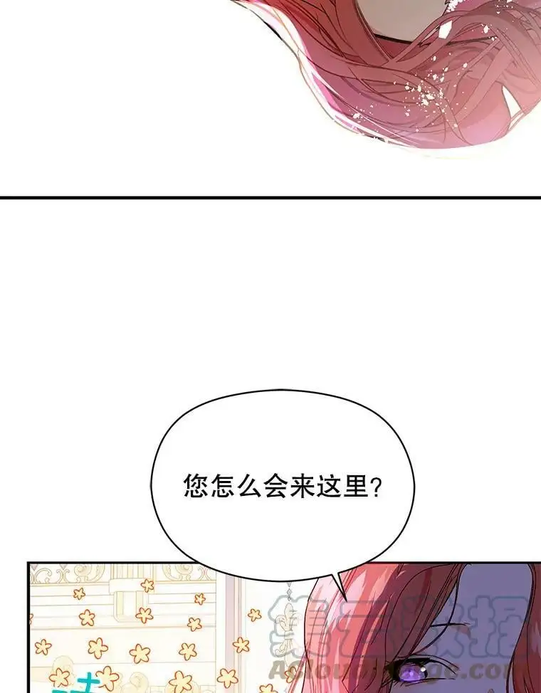 41.华丽的宴会80