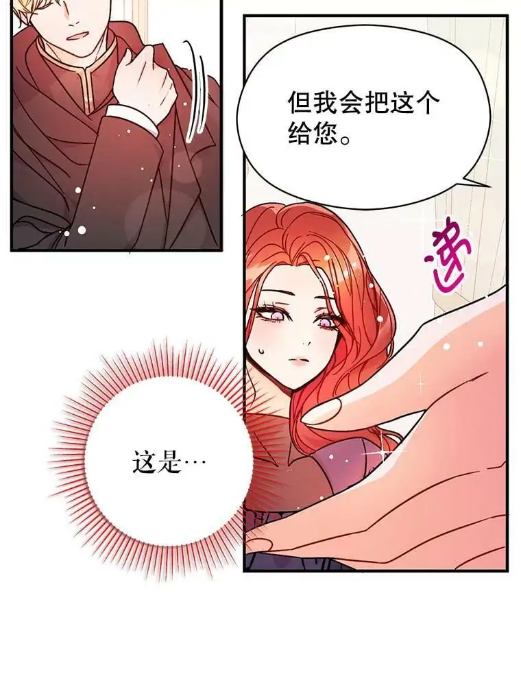 34.胸针73