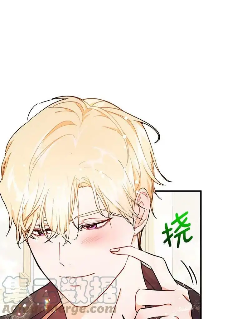 34.胸针18
