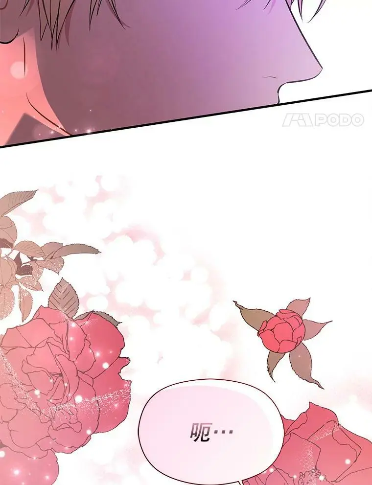 45.公主的礼物3