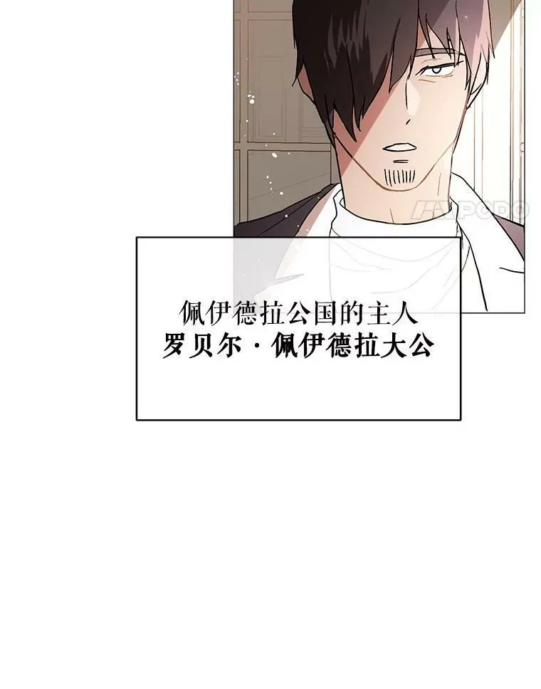 14.佩伊德拉公国17