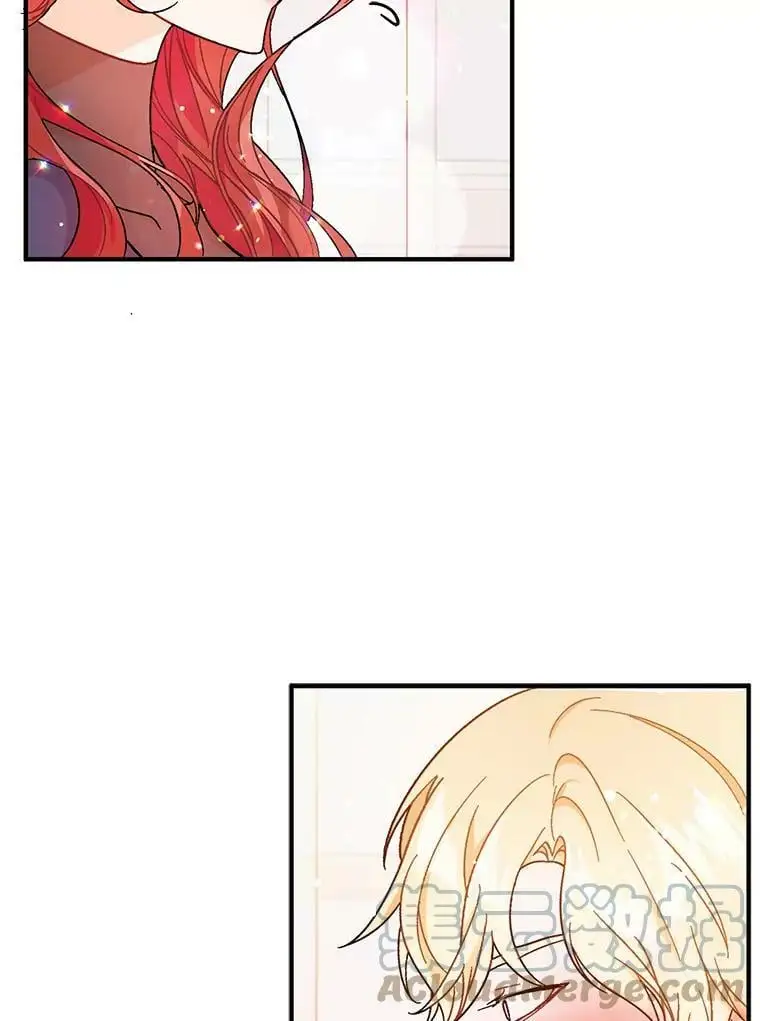 34.胸针24