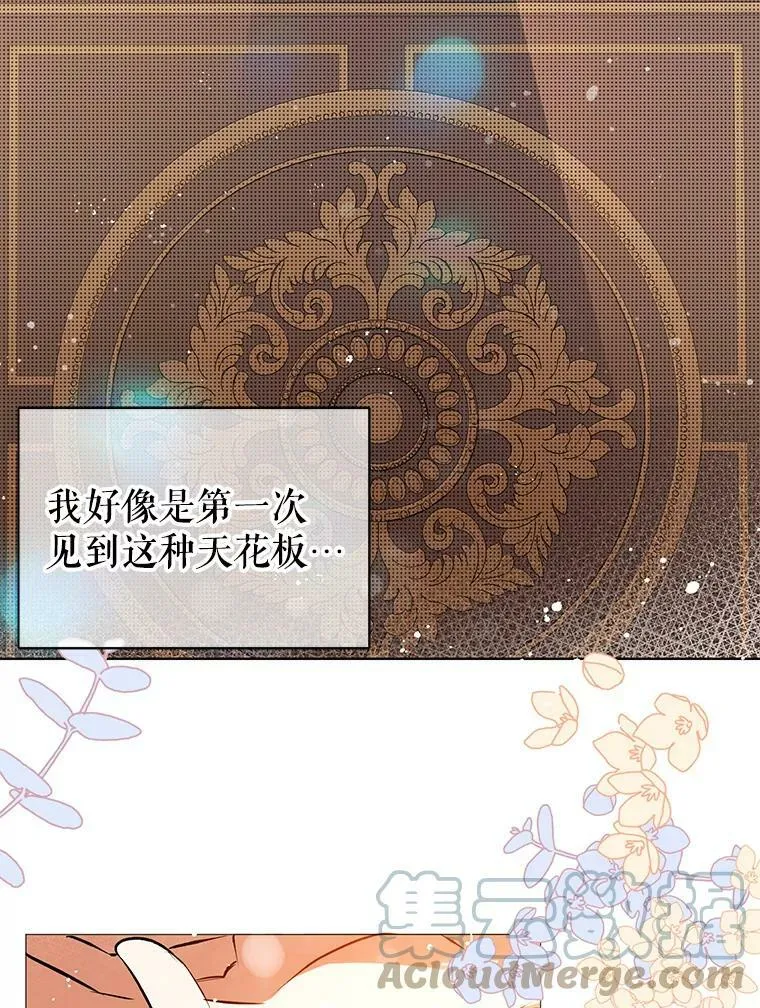 20.拍卖96