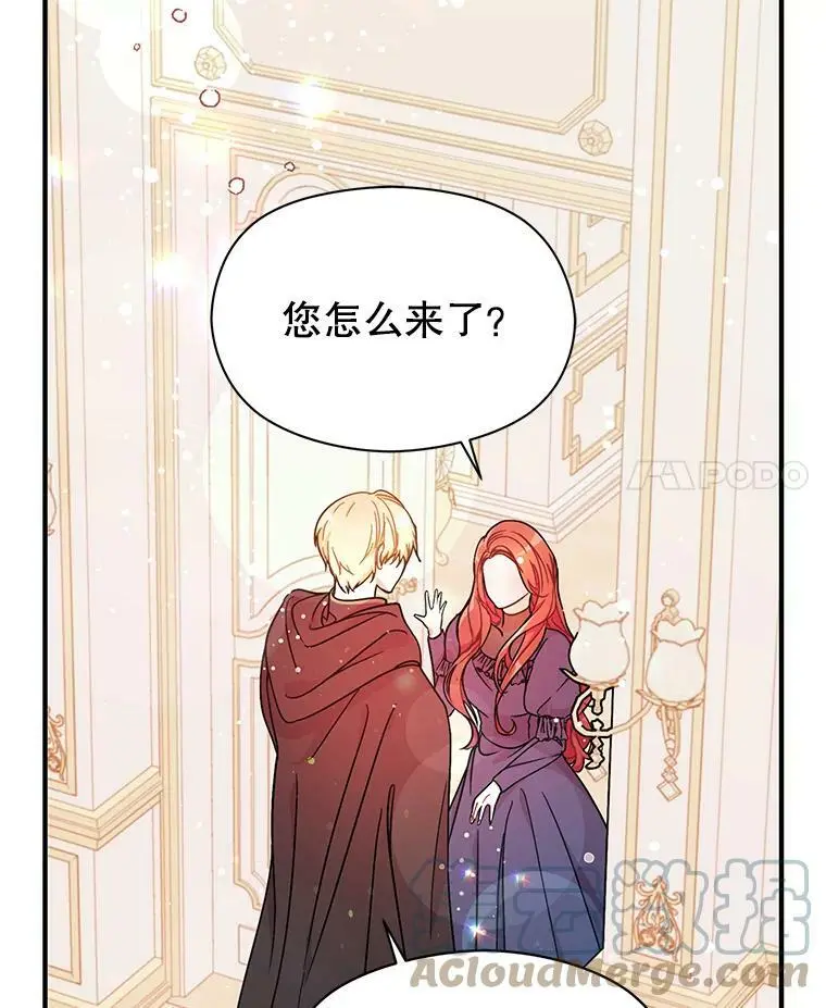 34.胸针3
