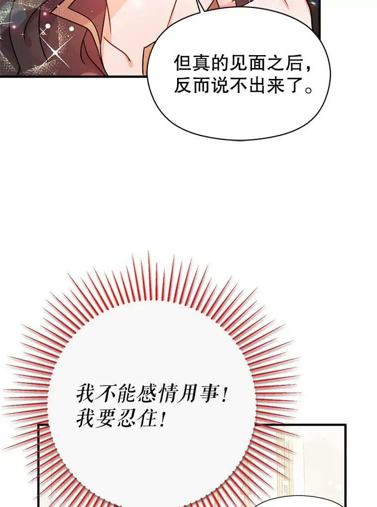 34.胸针19