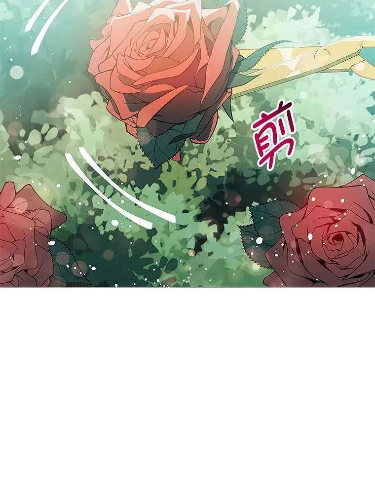 16.匹拉内塔伦46