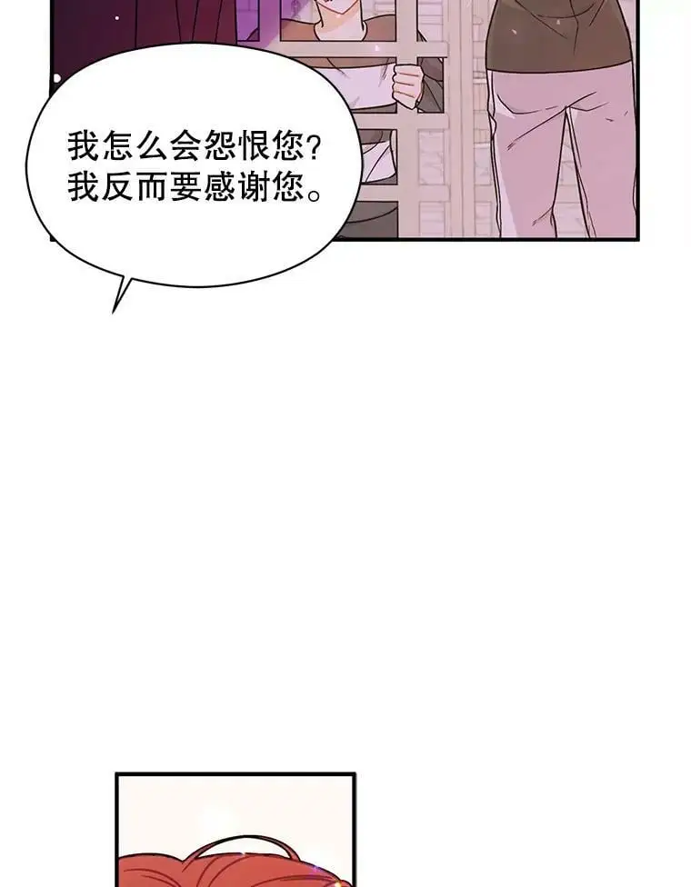 34.胸针31
