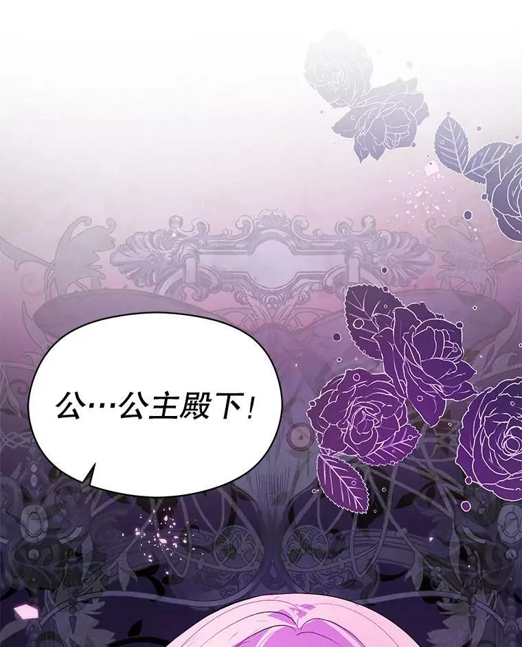 45.公主的礼物31