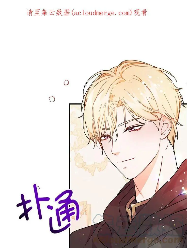 34.胸针0