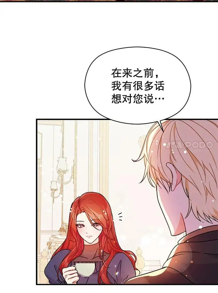 34.胸针17