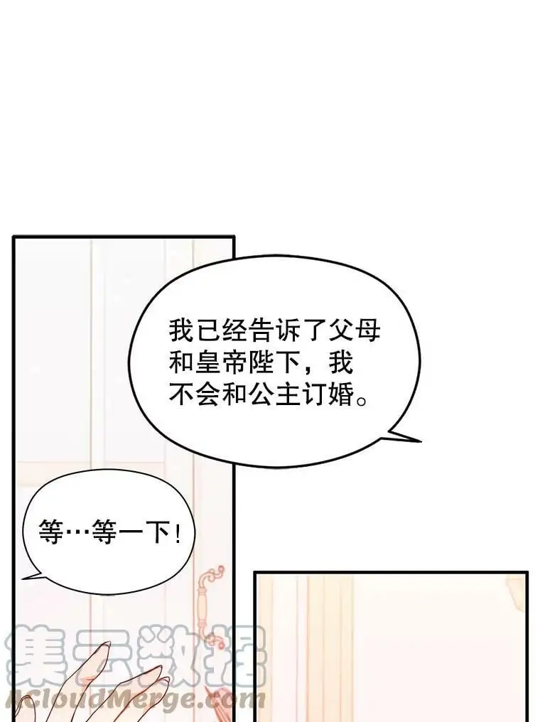 34.胸针45