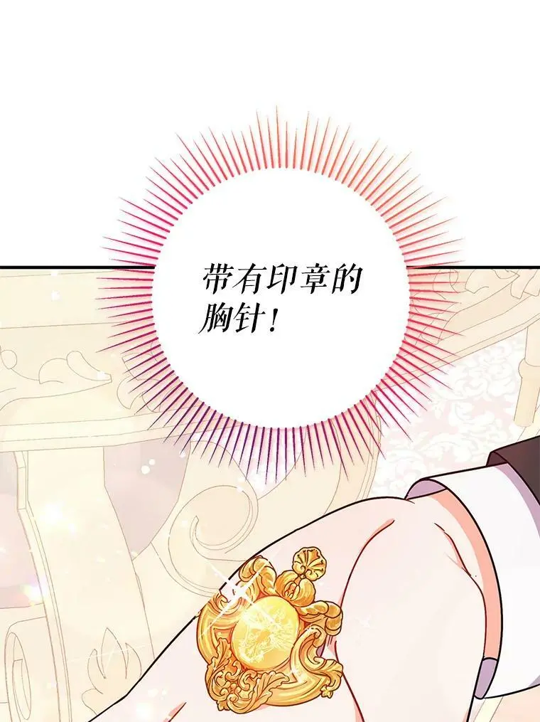 34.胸针74