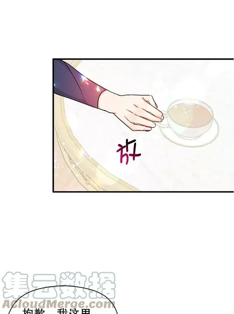 34.胸针12