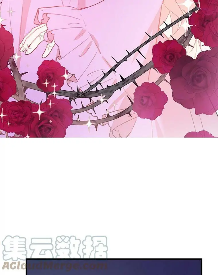 42.沃夫宝石4