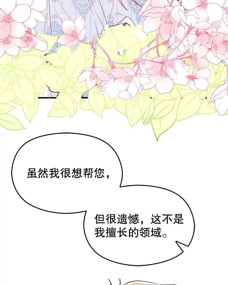 2.卡拉布里亚47