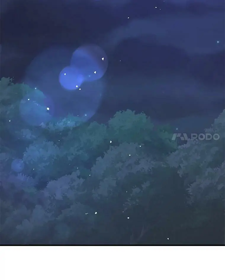 56.魔兽29