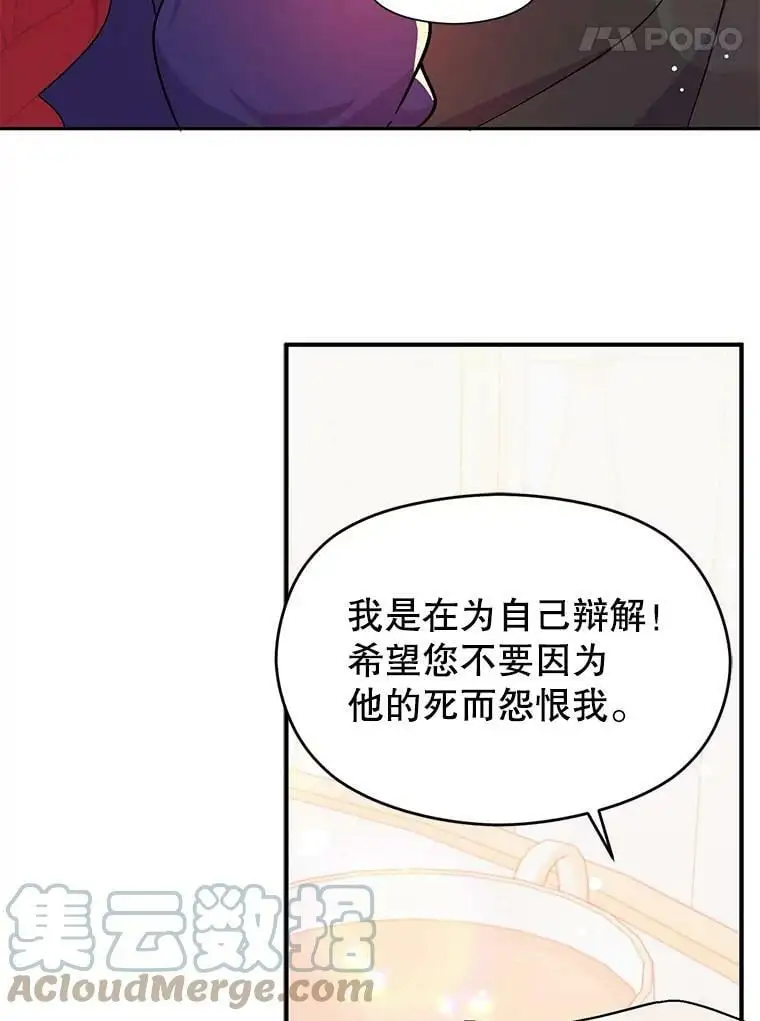 34.胸针27