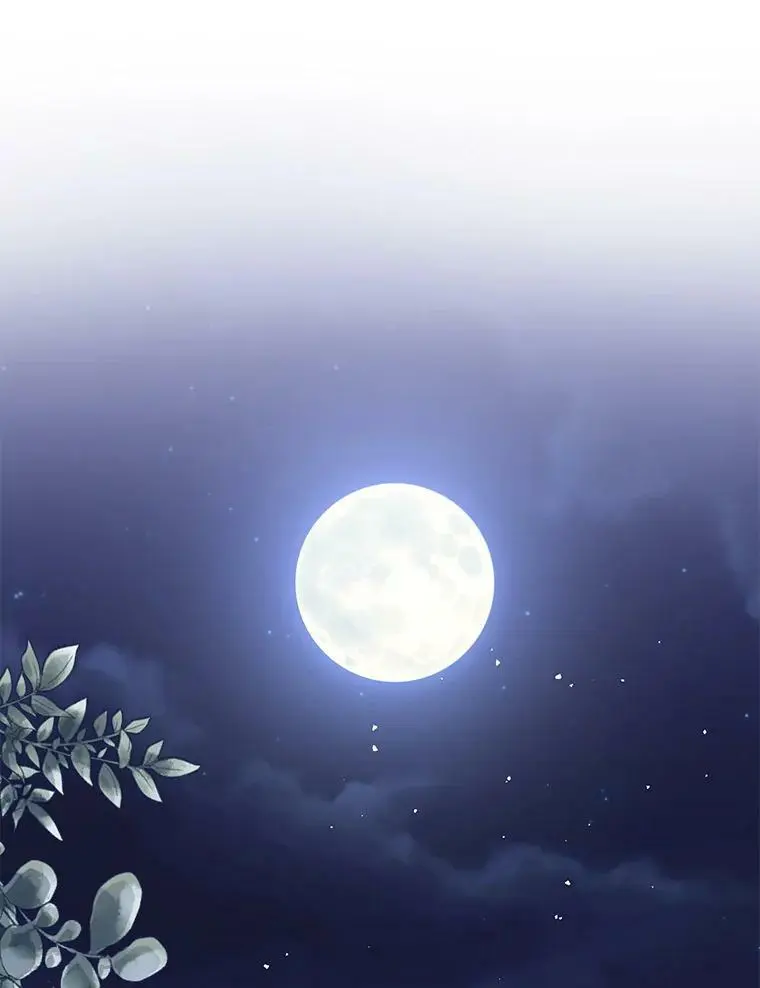 45.公主的礼物21