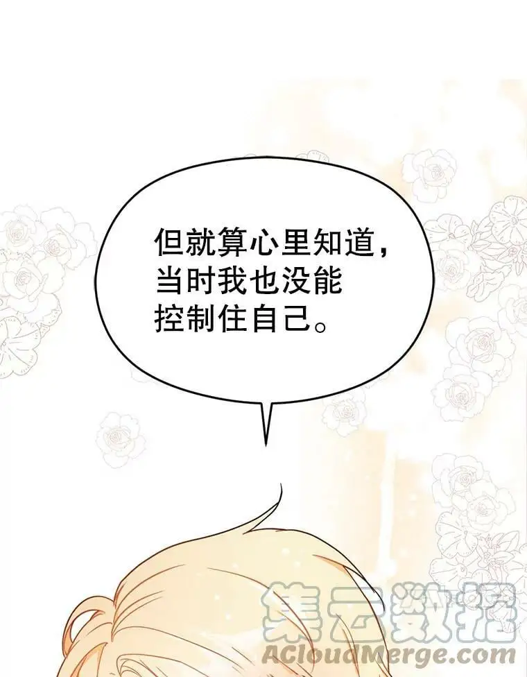 34.胸针36