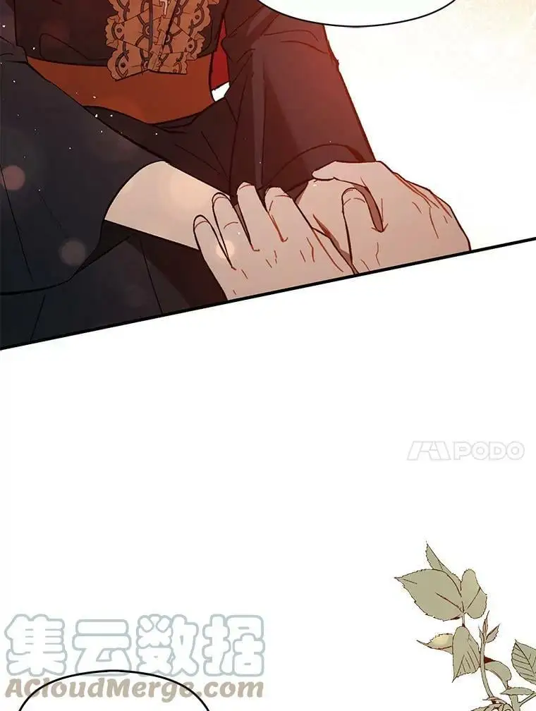 63.被伯爵说服96