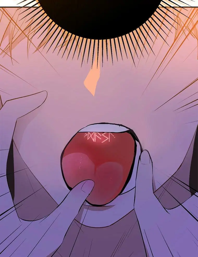 45.公主的礼物17