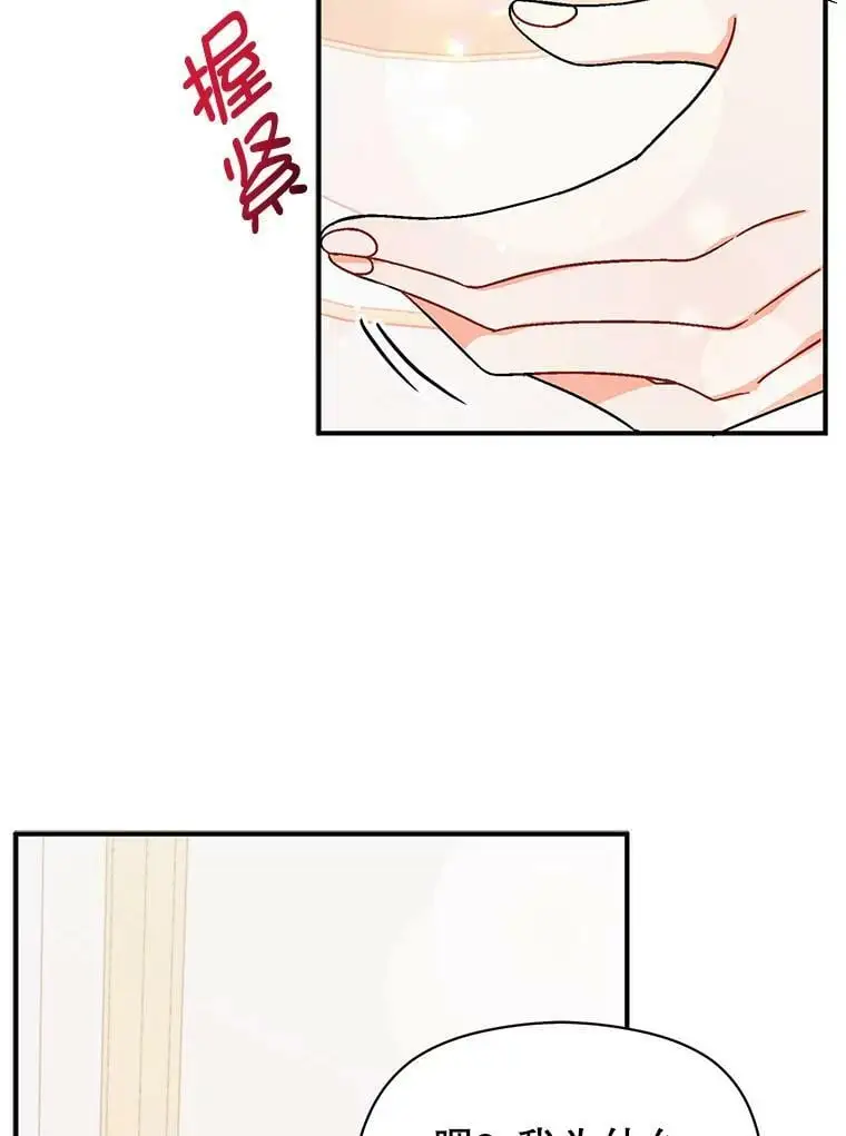 34.胸针28