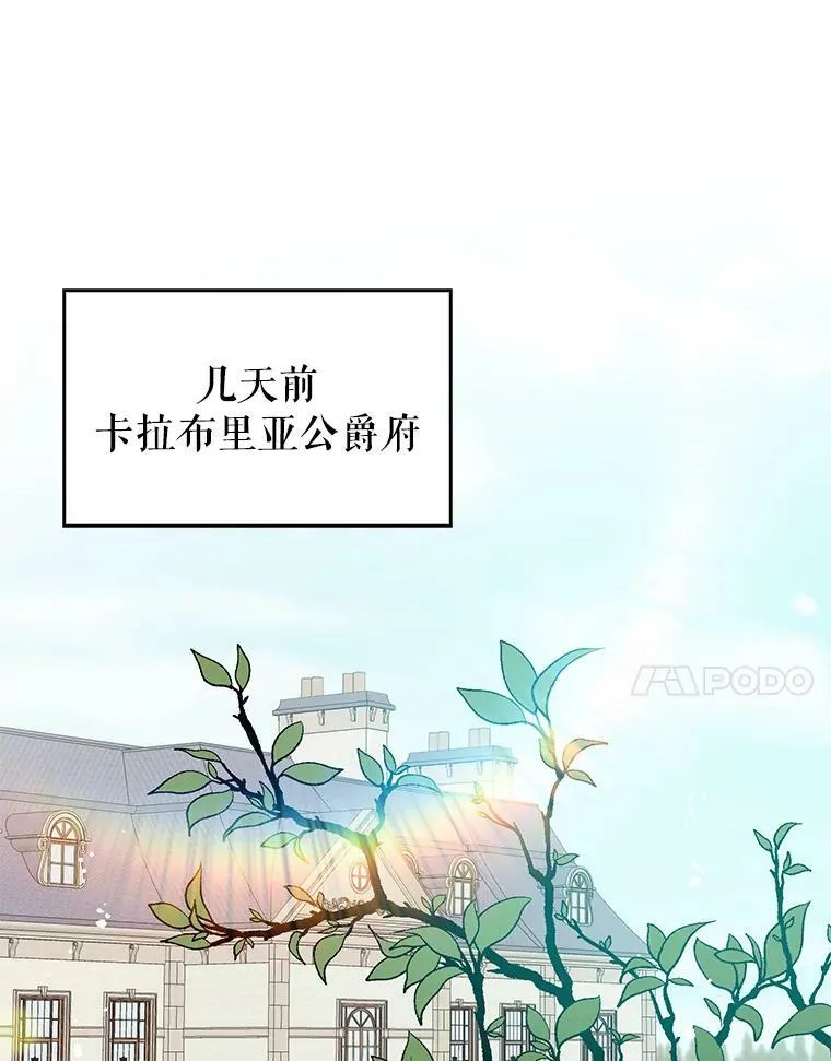 2.卡拉布里亚13