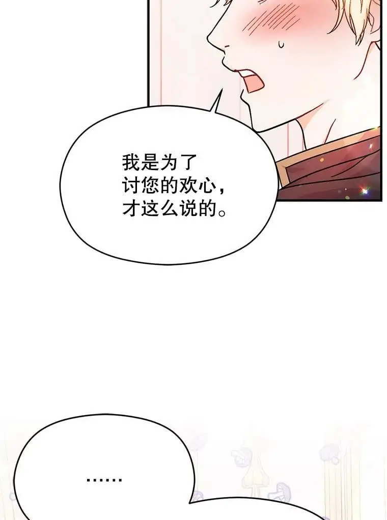 34.胸针25