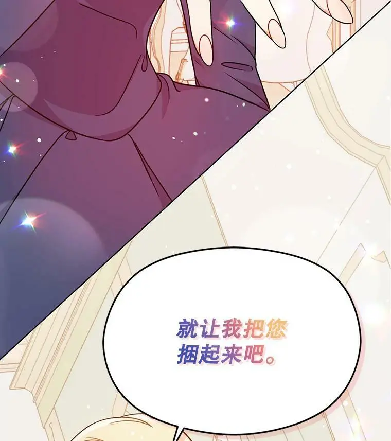 34.胸针89
