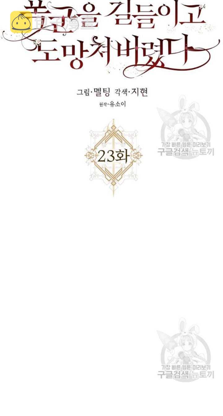 23.看准时机9