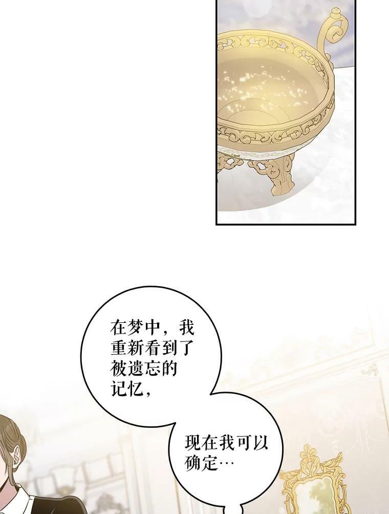 53.精灵的秘密49