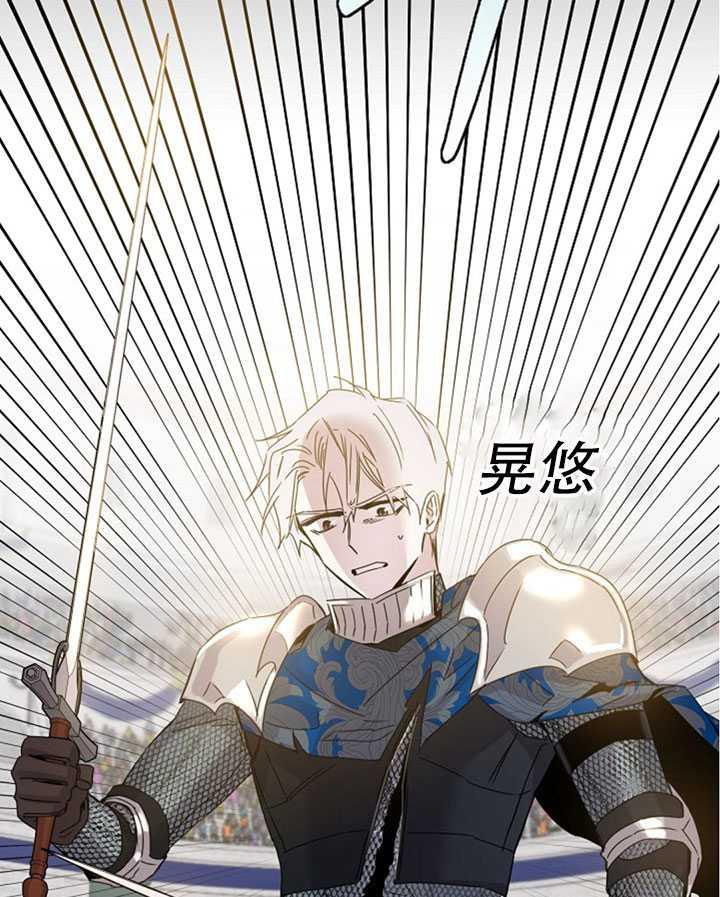 20.庆典上的偶遇26